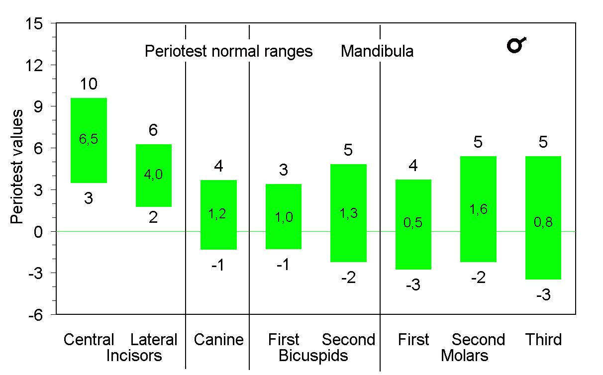 mandibula-male